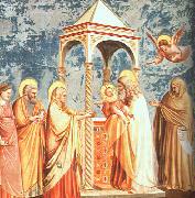 Giotto, Scenes from the Life of the Virgin
