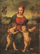 Raphael Madonna of the Goldfinch USA oil painting reproduction