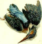 J.M.W.Turner kingfisher