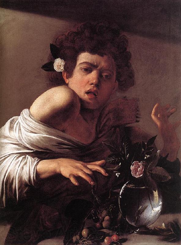 Caravaggio Boy Bitten by a Lizard f Norge oil painting art