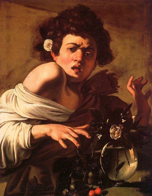 Caravaggio Youth Bitten by a Green Lizard France oil painting art