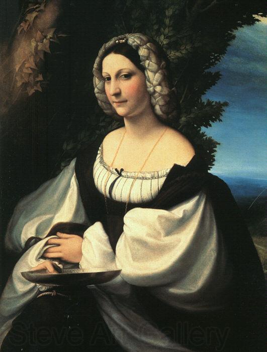 Correggio Portrait of a Gentlewoman Norge oil painting art