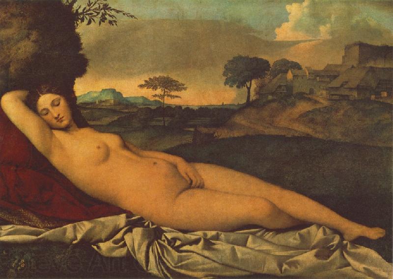 Giorgione Sleeping Venus dhh Germany oil painting art