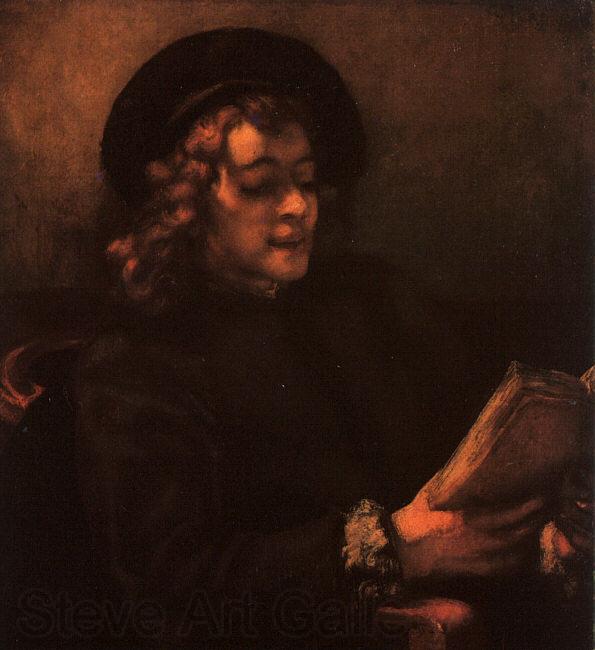 Rembrandt Portrait of Titus Spain oil painting art