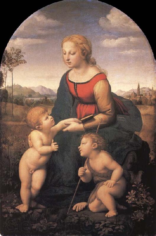 Raphael The Virgin and Child with the infant Saint John the Baptist Norge oil painting art