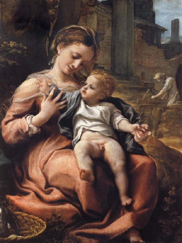 Correggio The Madonna of the Basket Norge oil painting art