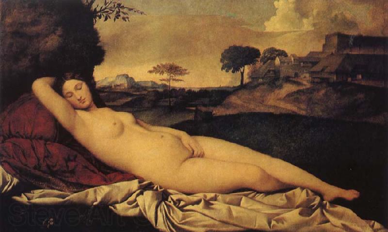 Giorgione Sleeping Venus Spain oil painting art