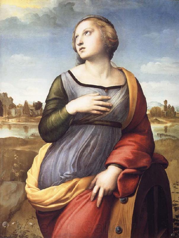 Raphael Saint Catherine of Alexandria Germany oil painting art