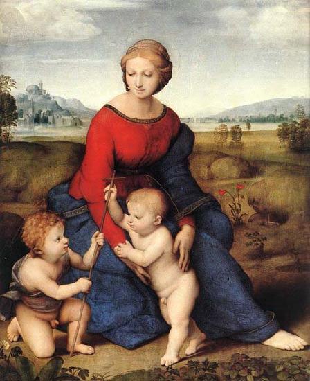 Raffaello Madonna of Belvedere Spain oil painting art