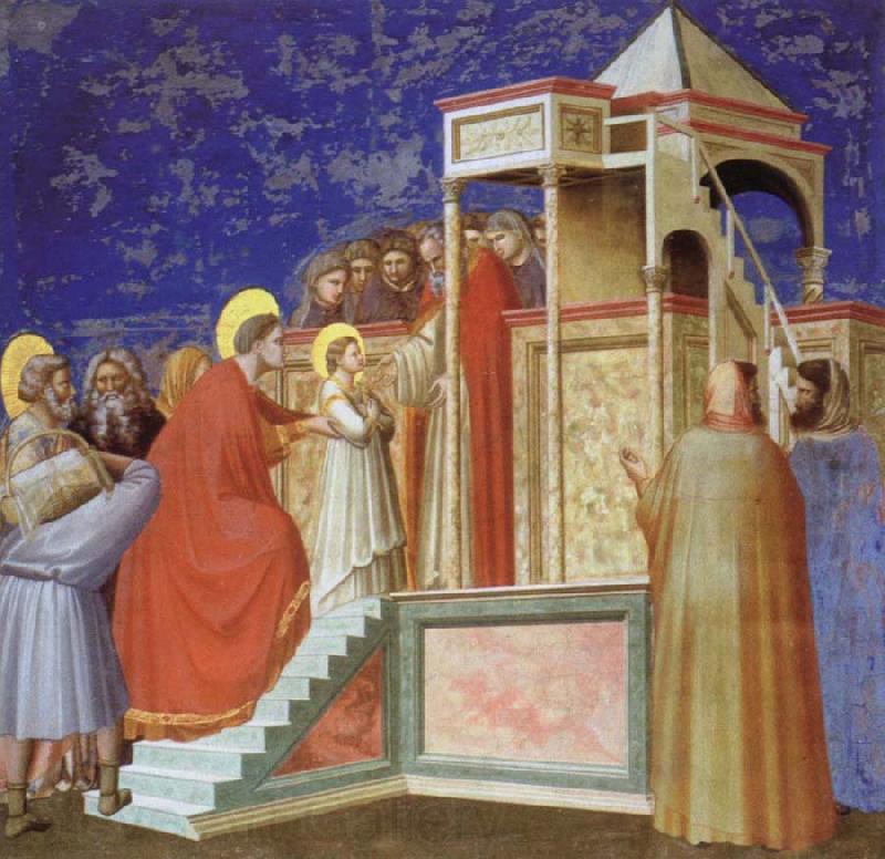 Giotto Presentation of the VIrgin ar the Temple Spain oil painting art