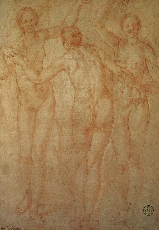 Pontormo The three goddesses Norge oil painting art