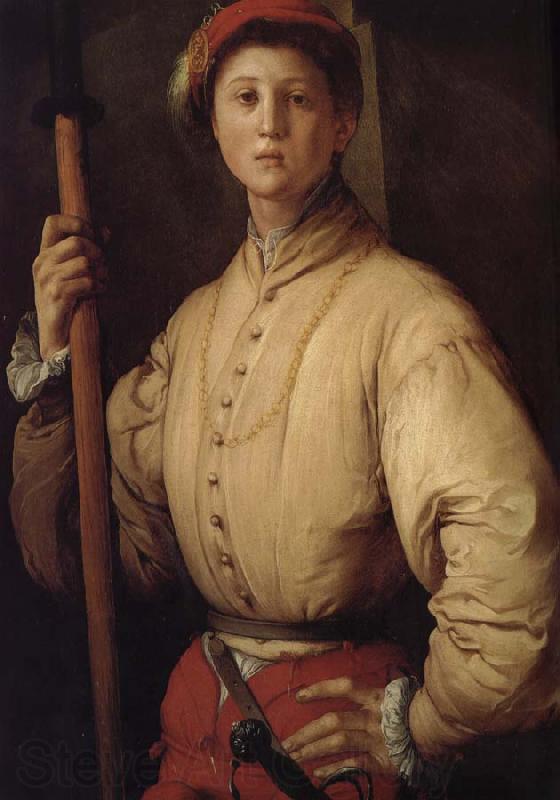 Pontormo Cosimo de Medici Spain oil painting art