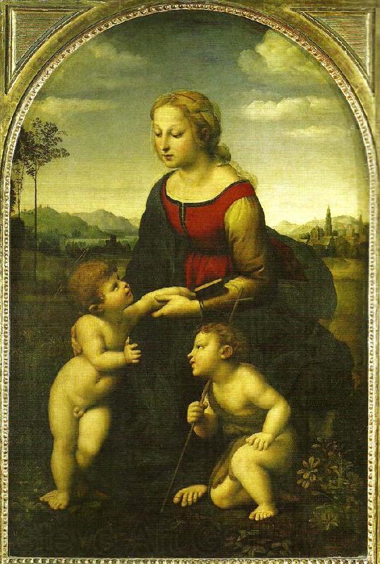 Raphael virgin and child wild st. France oil painting art