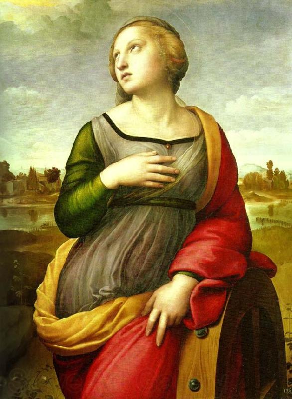 Raphael st catherine France oil painting art