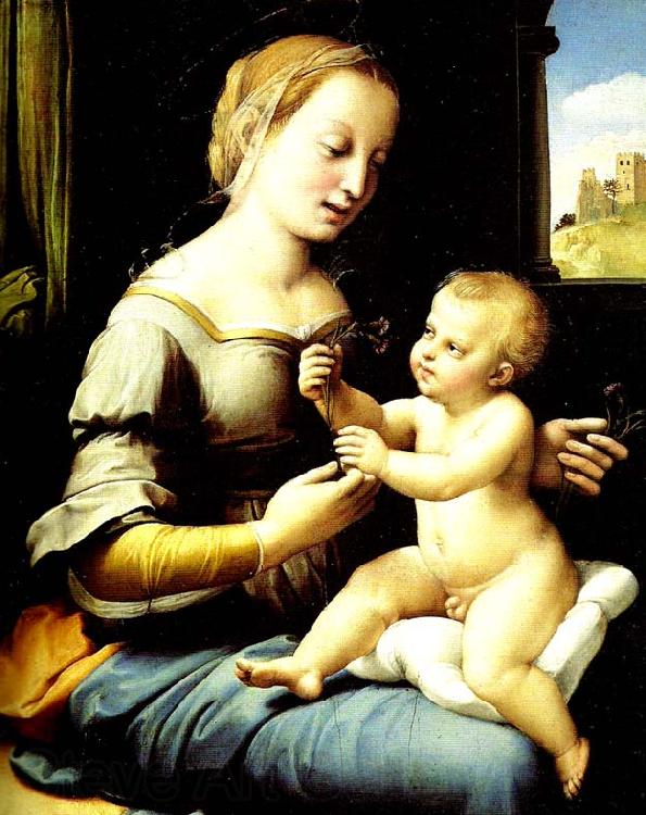 Raphael madonna of the pinks France oil painting art