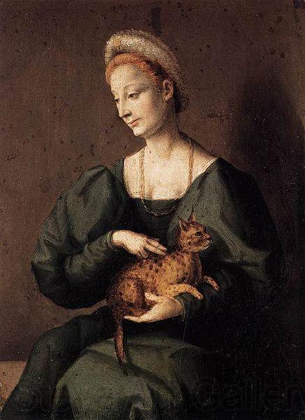BACCHIACCA Woman with a Cat Norge oil painting art