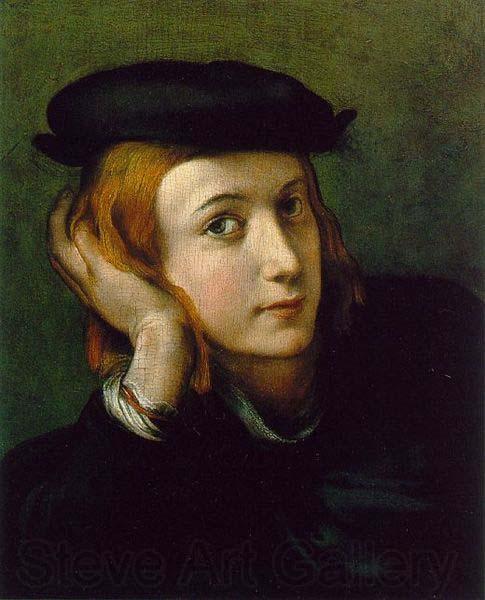 Correggio Portrait of a Young Man, France oil painting art