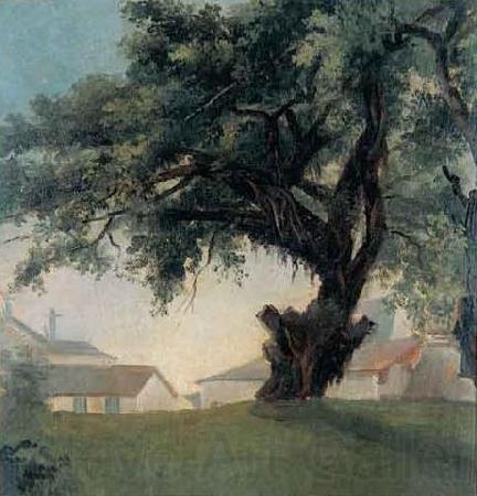 Anonymous Giant tree and barracks Spain oil painting art