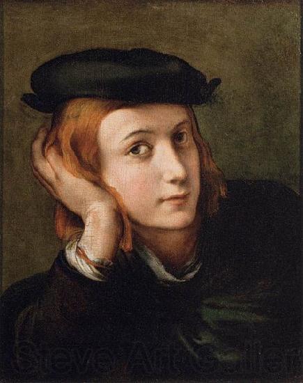 PARMIGIANINO Portrait of a Youth Germany oil painting art