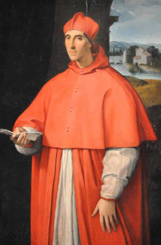 Raphael Portrait of Cardinal Alessandro Farnese France oil painting art