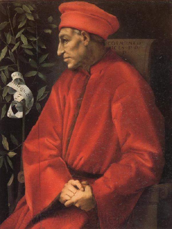 Pontormo Portrait of Cosimo il Vecchio Norge oil painting art