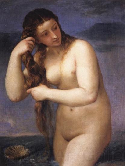 Titian Venus Anadyomenes Norge oil painting art