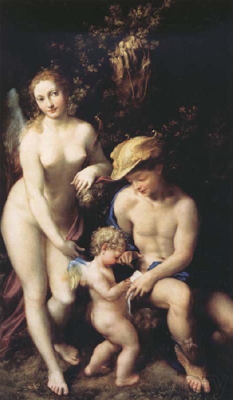 Correggio The Education of Cupid Norge oil painting art