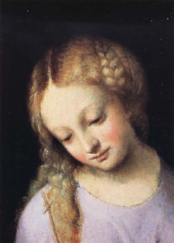 Correggio Details of Madonna and Child with the Young Saint John Norge oil painting art