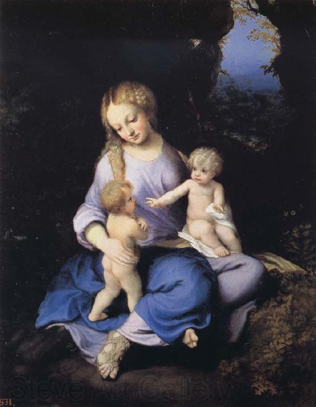Correggio Madonna and Child with the Young Saint John Norge oil painting art
