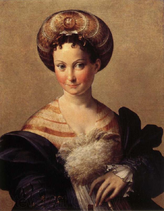 PARMIGIANINO Portrait of a Young Woman Norge oil painting art