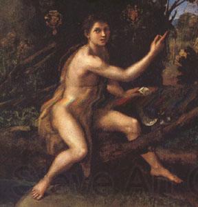 Raphael John the Baptist (mk05) Norge oil painting art