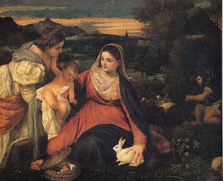 Titian The Virgin with the Rabit (mk05) France oil painting art