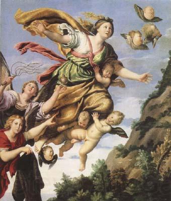 Domenichino The Assumption of Mary Magdalen into Heaven (mk08) Norge oil painting art
