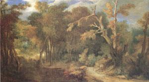 Largillierre Wooded Landscape (mk05) Spain oil painting art