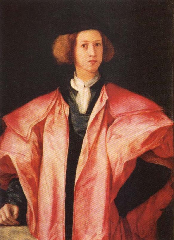 Pontormo Portrait of a young Man Norge oil painting art