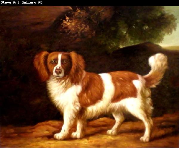 Oljemlningen i Gallerit Nu, 00,37775=George Stubbs,,Dog